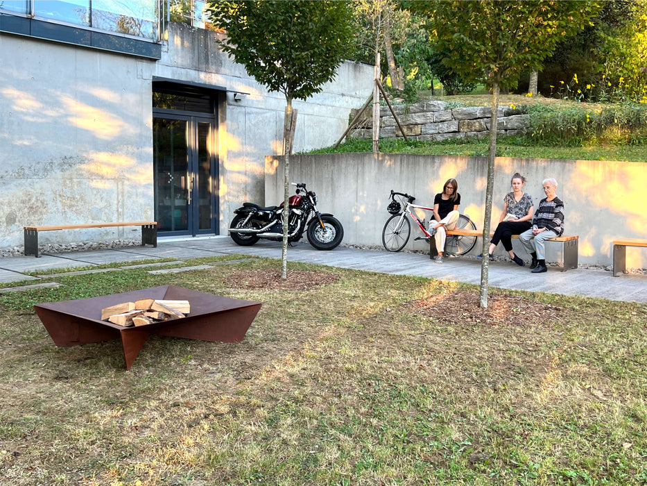 fluxus