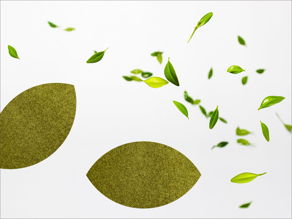 leaf
