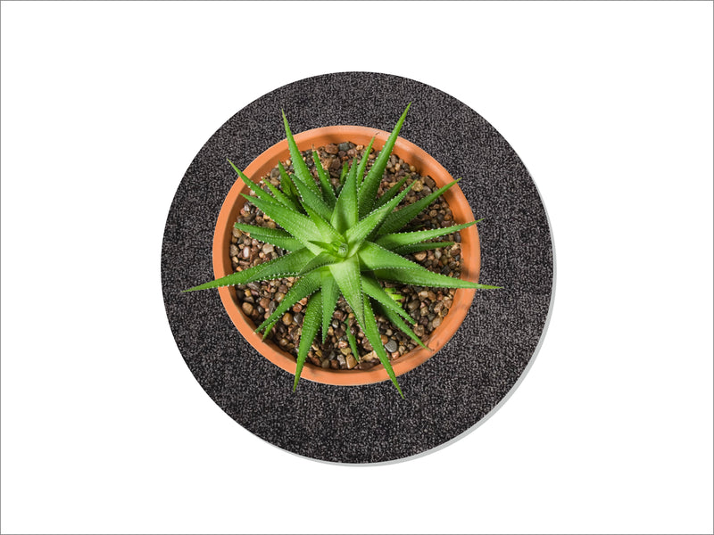 3 STÜCK flora-s.darkgrey, Art. 146-044223, outlet, ø 25 cm